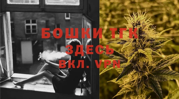 спайс Ельня