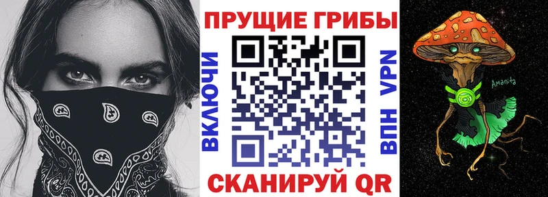 Галлюциногенные грибы мухоморы Салехард